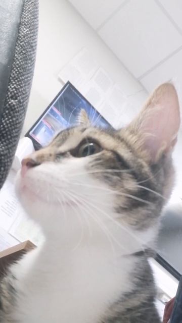 VID-20251023-WA0030.mp4 смотреть онлайн