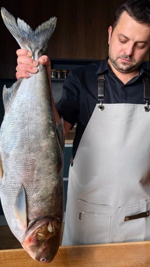 Котлеты из толстолобика и щуки с салом