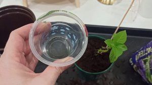 ПОКУПКИ ДЛЯ ДОМА 🛍 УЮТНЫЙ ВЛОГ