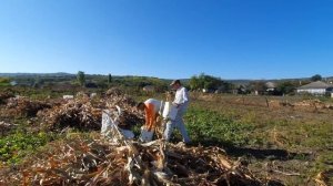 Ты седина жаль что видна. Братья из Михайловки