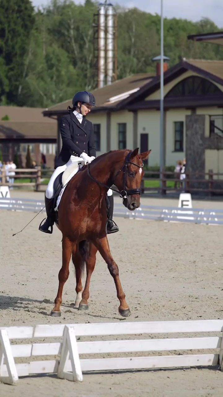 Маленькие победы лошади