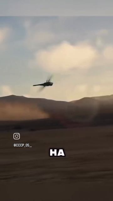 1000020897.mp4Кабуча США