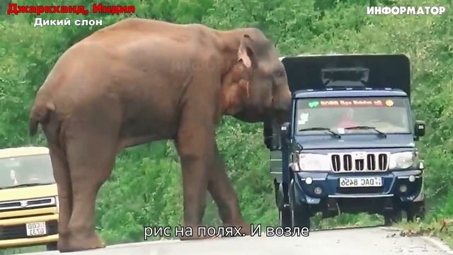 Новости Сегодня 13.01.2026 - ЧП, Катаклизмы, Россия, Москва, События Дня, США Европа 🎬 1080p смотреть онлайн