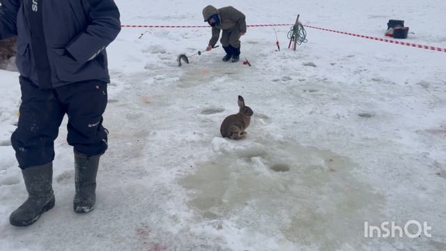 1000138515.mp4 смотреть онлайн