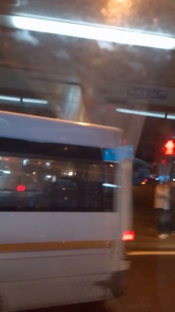 1000075429.mp4 смотреть онлайн