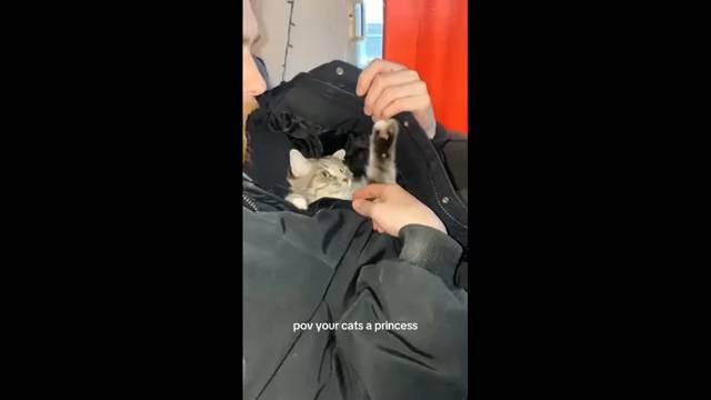 #смешныевидео -680 смотреть онлайн