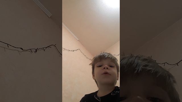 20260114_002239.mp4 смотреть онлайн