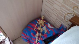 Видео Фредо 2 видео. 8 способов как развлечь себя если ты один дома