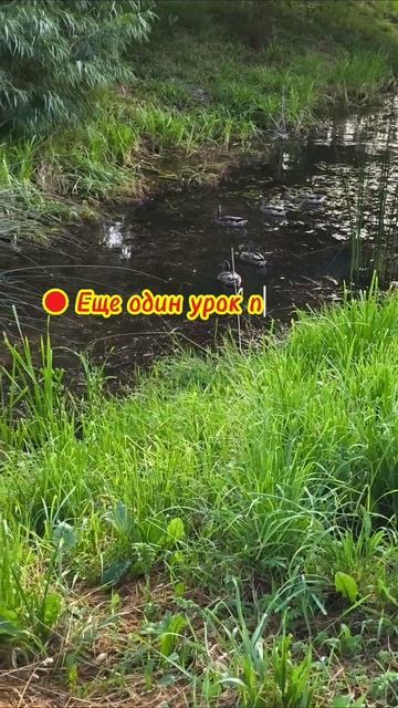 Еще один урок пройден #цитаты #трансерфингреальности #мышление #мотивация #психология