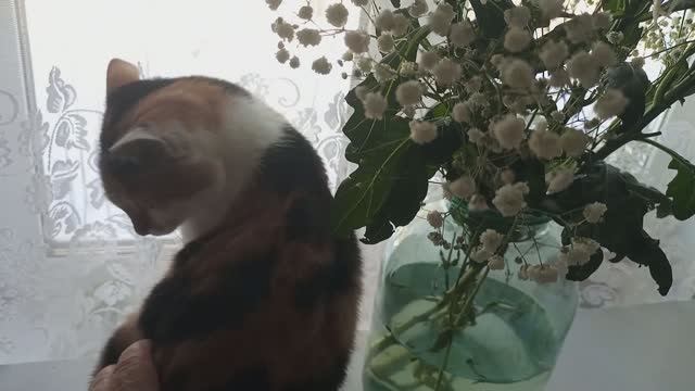 ЗИМА в РАЗГАРЕ // СИМА ЧУДИТ // МОЯ ЖИЗНЬ на СЕЛЕ смотреть онлайн