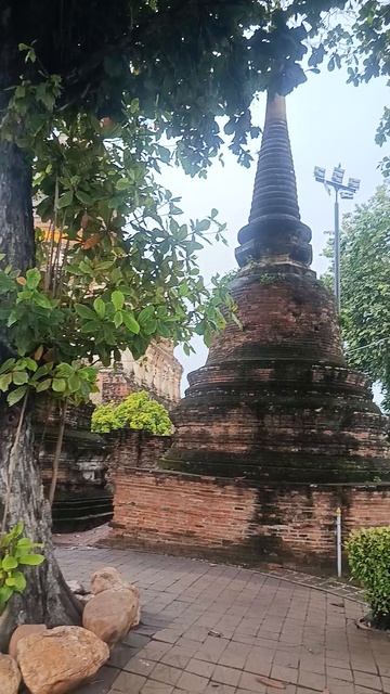 Король построил храм не для богов — для возвращения Храм, где победили не врага, а самого себя смотреть онлайн