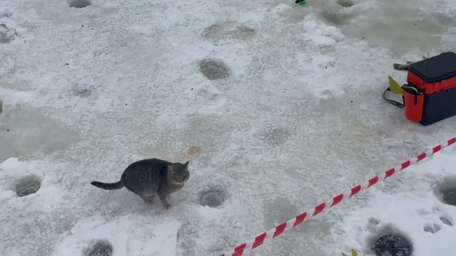 1000138526.mp4 смотреть онлайн