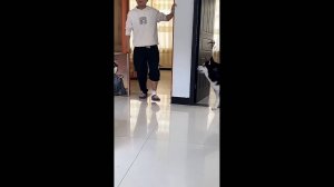 #смешныевидео -10