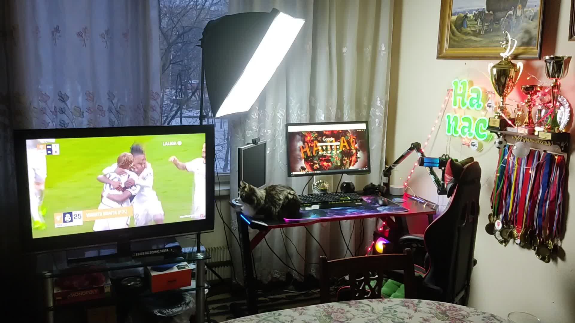 Вечерний стрим | ActiveMatter