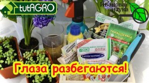 ЧТО КУПИТЬ ДЛЯ РАССАДЫ и ОГОРОДА. ДАЧНЫЙ СЕЗОН 2026. Минимальный набор для урожая. Ч.1. Препараты.