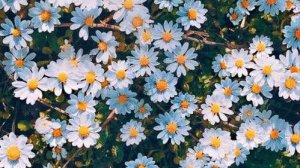 собираю бокс для сестры 🩷