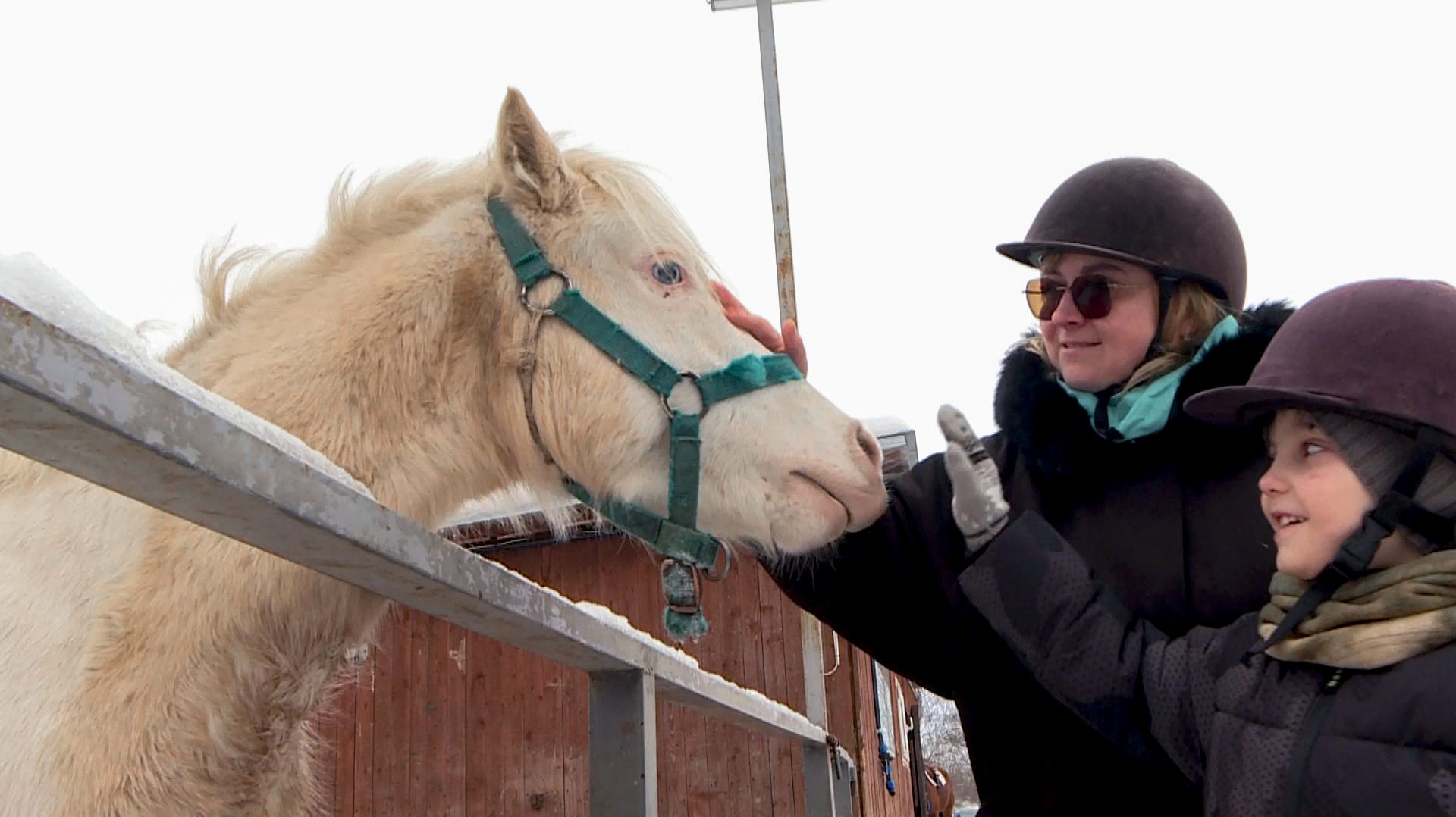 Лечебная верховая езда: как иппотерапия помогает рязанцам смотреть онлайн