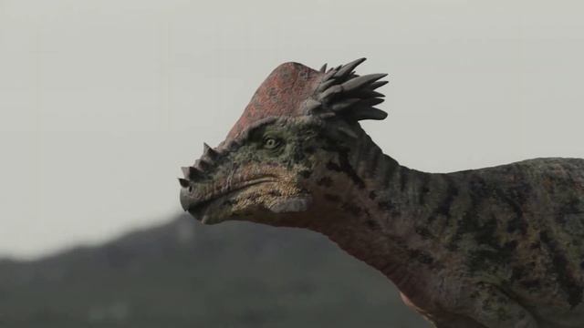 Самая странная эволюция в истории Земли — Динозавры | Большой выпуск смотреть онлайн