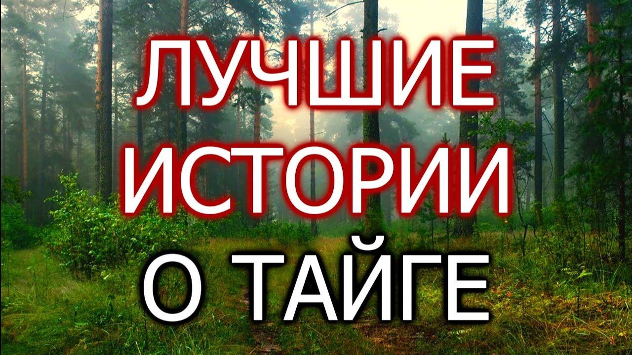 Тайга. Истории про тайгу. смотреть онлайн