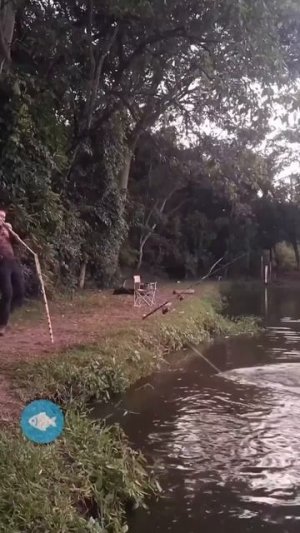 Видео от За Трофеем: Охота и Рыбалка