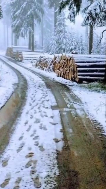 С Новым Годом! смотреть онлайн