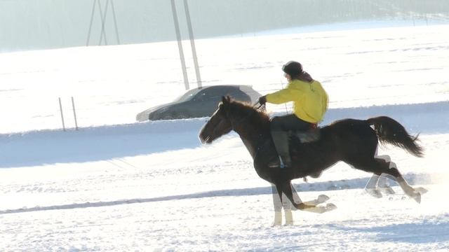 Лошадиные игры смотреть онлайн