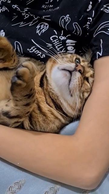 жалуется.mp4 смотреть онлайн