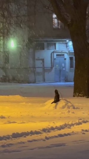 Игра со снежинками