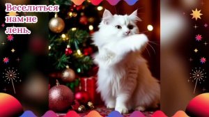 Со Старым Новым годом 🎄Забавные котики играют.🥰
