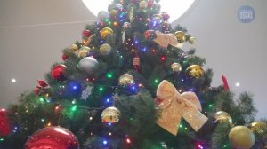 Волшебство новогодней ёлки