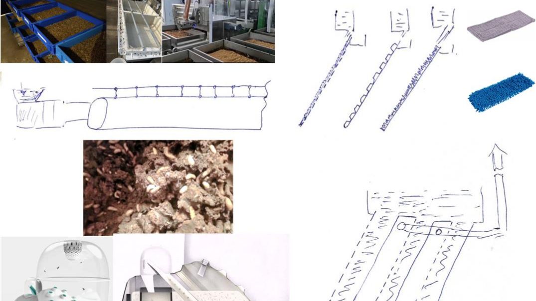 Альтернативные способы культивации личинки черной львинки