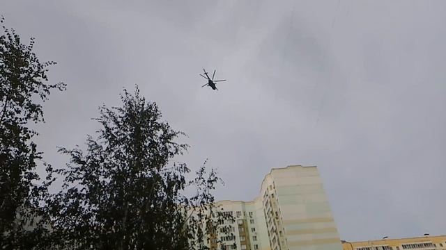 1000057065.mp4 смотреть онлайн