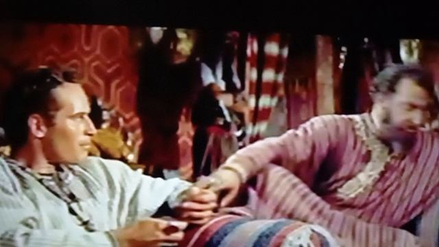 ни одно животное не сохранило первозданную красоту, так как это сделал лошадь смотреть онлайн