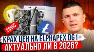 Крах цен на Elphapex DG1+ | Актуально ли в 2026?
