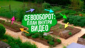 ОБЯЗАТЕЛЬНО СОБЛЮДАЙТЕ ЕГО! Почему так важен севооборот?