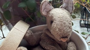 Снежные завалы. Булебесы. Новый виток в творчестве.