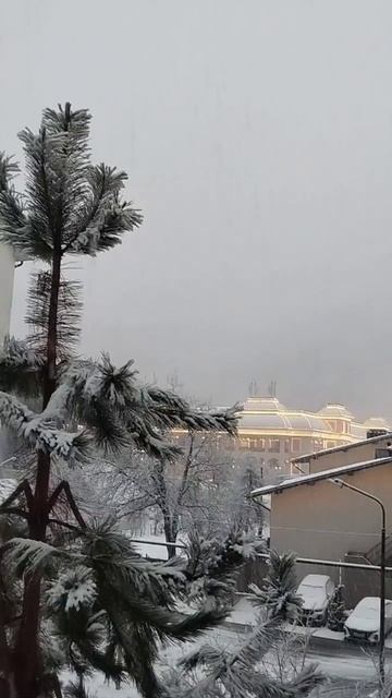 Курорт снова засыпало снегом смотреть онлайн