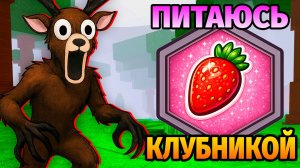 😱ЕМ ТОЛЬКО КЛУБНИКУ в 99 НОЧЕЙ в ЛЕСУ 99 Nights in the Forest в Роблокс