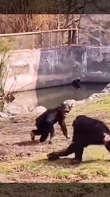 игруха заместо машинки.mp4 смотреть онлайн