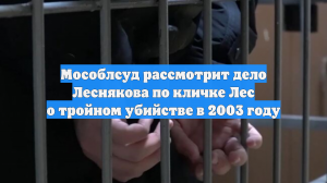 Мособлсуд рассмотрит дело Леснякова по кличке Лес о тройном убийстве в 2003 году
