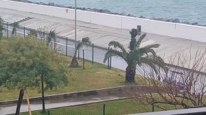 Заливает бедный Сириус!