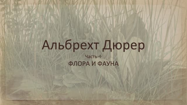 Альбрехт Дюрер. Часть 4. Флора и фауна смотреть онлайн