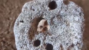 Руны ФУТАРКА