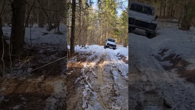 cd1255 смотреть онлайн