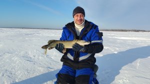 Рыбалка на жерлицы. Неплохой улов для глухозимье.