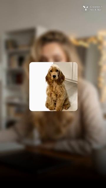 Лёгкая обработка фото в Telegram: обзор нейросети Qwen Images в боте YesAI смотреть онлайн