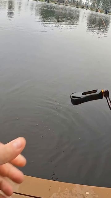 Поймал форель на спиннинг #fishing #рыбалка #ловляфорели #fishing #trout #fishingvideo