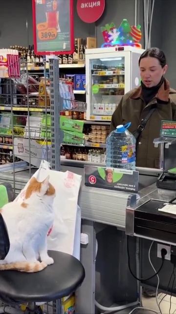 Кассир заснул смотреть онлайн