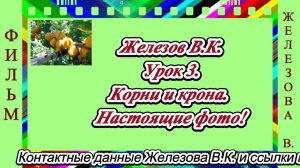 Железов В.К. Урок 3. Корни и крона. Настоящие фото!