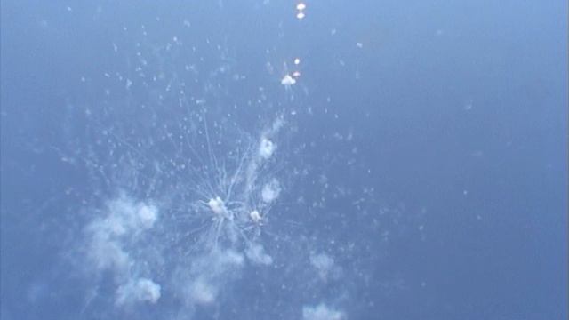 ©  "Ягры. Немец. Салют" 2006